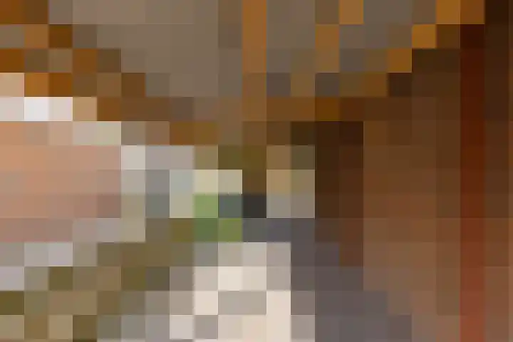 Molepaed 4 Scharnegoutum thumbnail 46