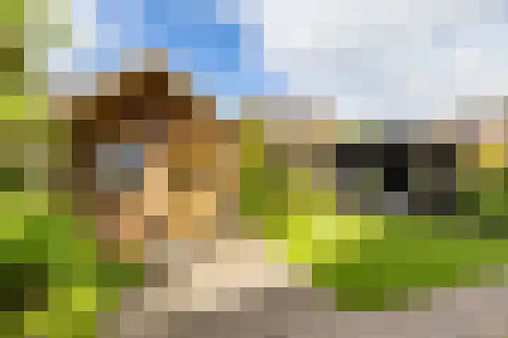 Molepaed 4 Scharnegoutum thumbnail 47