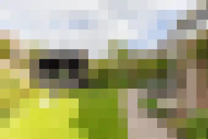 Molepaed 4 Scharnegoutum thumbnail 48