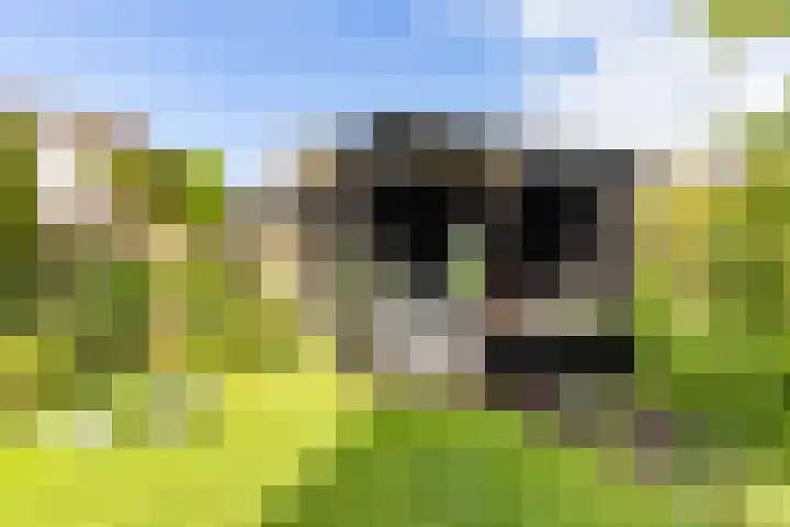 Molepaed 4 Scharnegoutum thumbnail 49