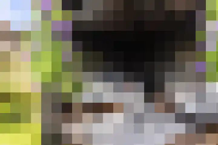 Molepaed 4 Scharnegoutum thumbnail 50