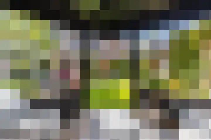 Molepaed 4 Scharnegoutum thumbnail 51