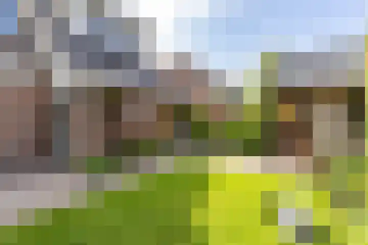Molepaed 4 Scharnegoutum thumbnail 52