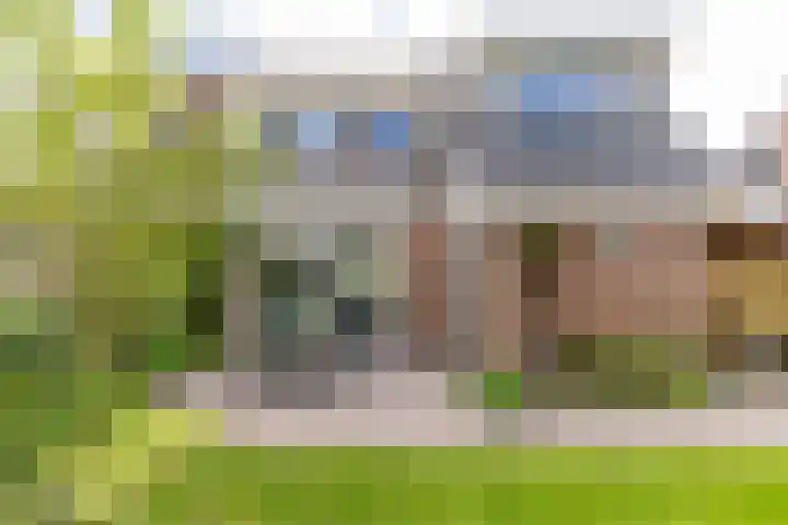 Molepaed 4 Scharnegoutum thumbnail 53