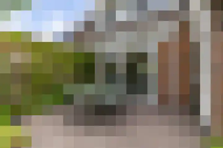 Molepaed 4 Scharnegoutum thumbnail 54