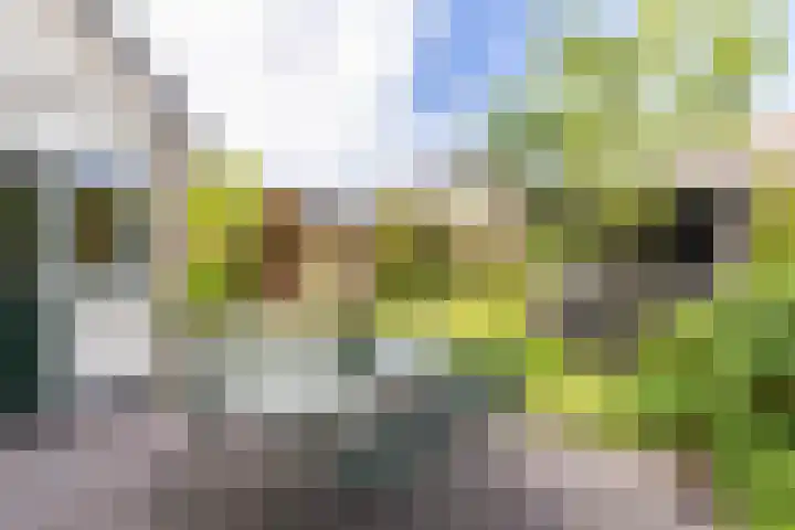 Molepaed 4 Scharnegoutum thumbnail 55