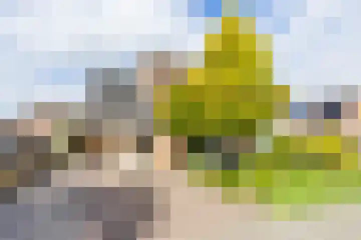Molepaed 4 Scharnegoutum thumbnail 61