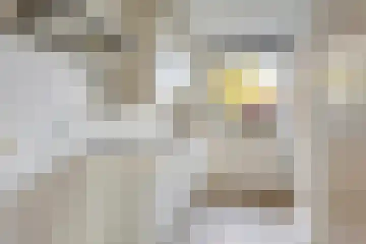 Molepaed 49 Sexbierum thumbnail 11