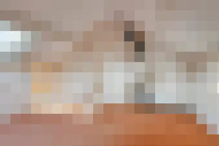 Molepaed 49 Sexbierum thumbnail 16