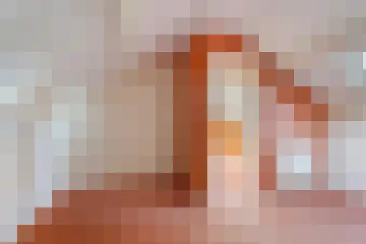 Molepaed 49 Sexbierum thumbnail 17