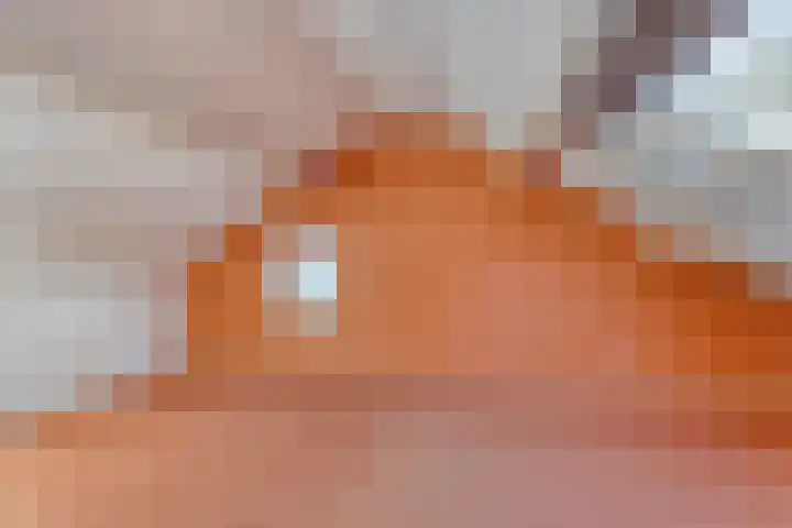Molepaed 49 Sexbierum thumbnail 18