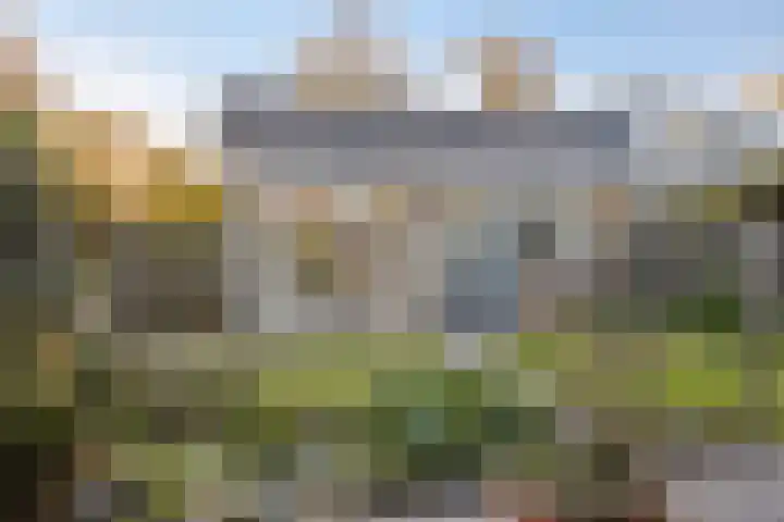 Molepaed 49 Sexbierum thumbnail 23