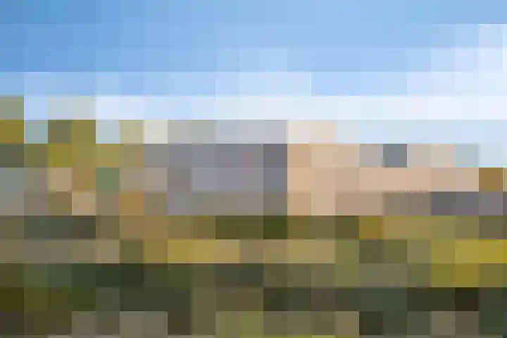 Molepaed 49 Sexbierum thumbnail 26