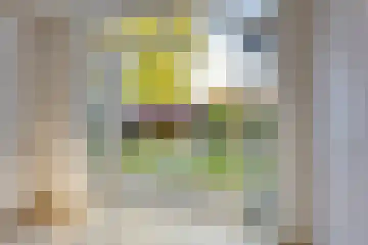 Molepaed 49 Sexbierum thumbnail 6