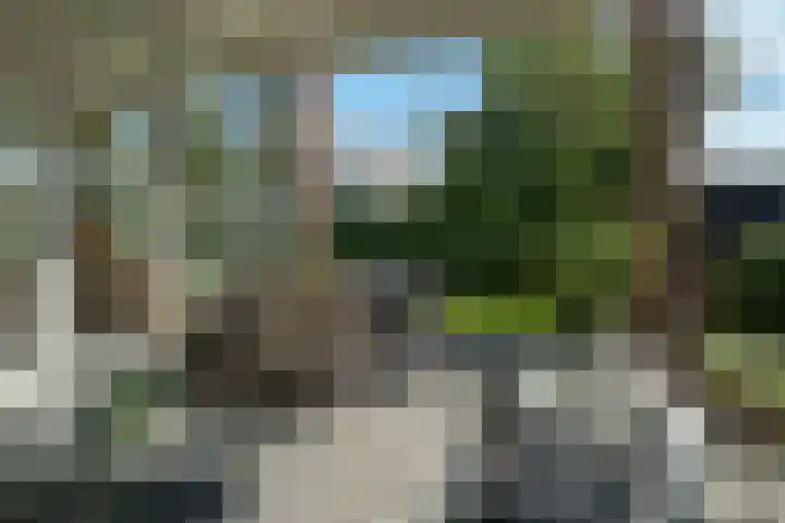 Moleplaat 20 Leeuwarden thumbnail 22