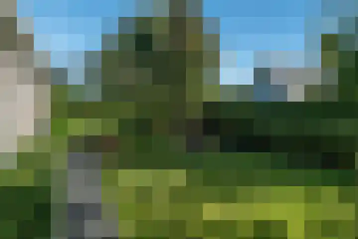 Moleplaat 20 Leeuwarden thumbnail 24