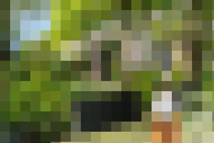 Moleplaat 20 Leeuwarden thumbnail 27