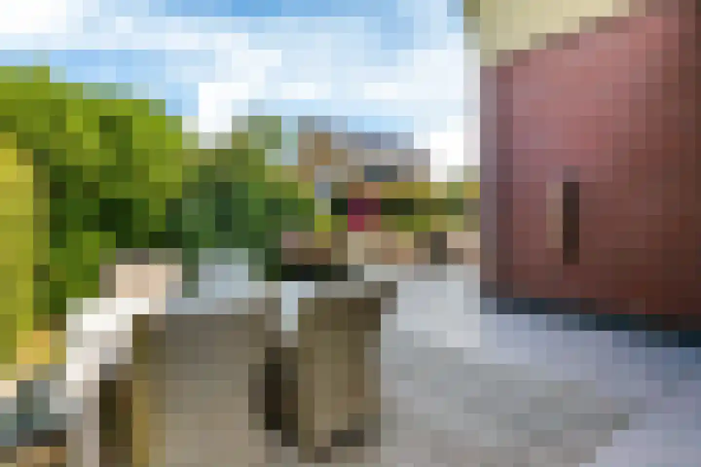 Moleplaat 29 Leeuwarden thumbnail 26