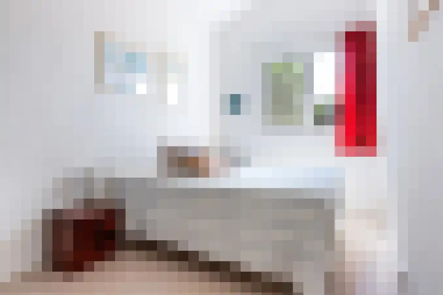 Moleplaat 29 Leeuwarden thumbnail 41