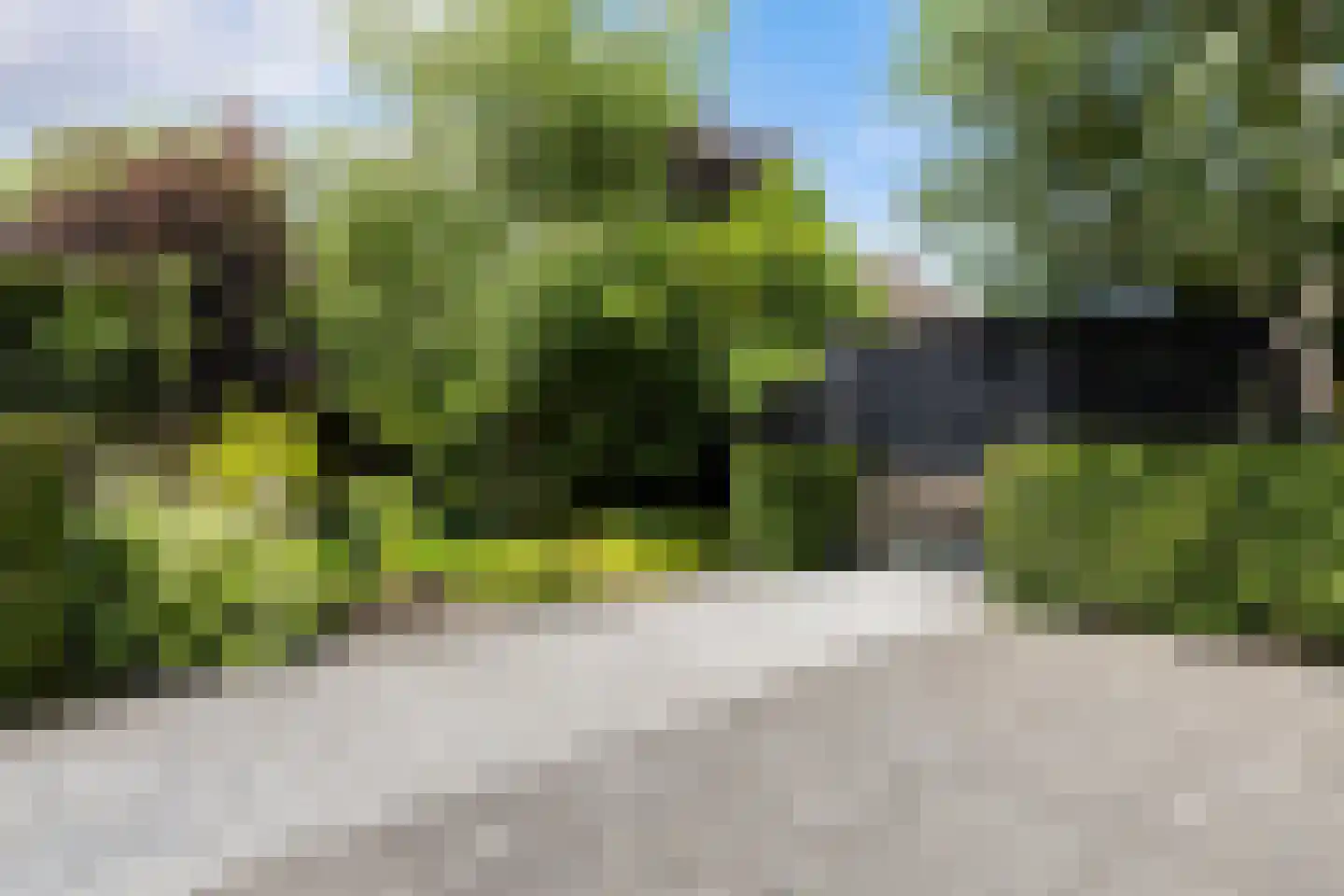 Moleplaat 38 Leeuwarden thumbnail 10