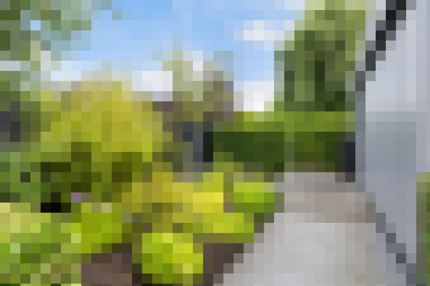Moleplaat 38 Leeuwarden thumbnail 11