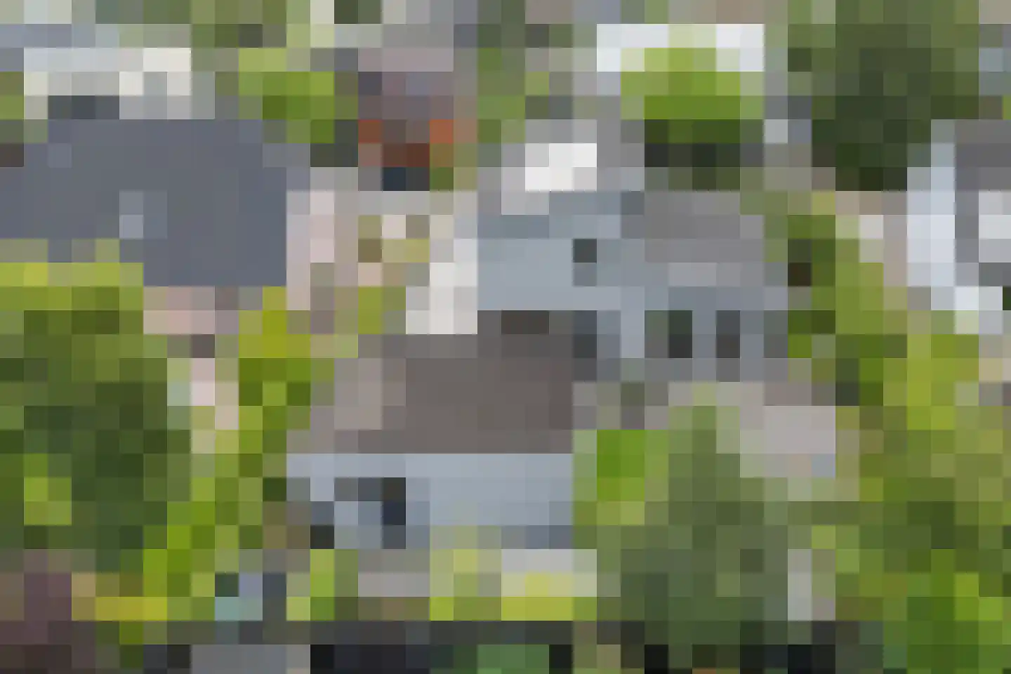 Moleplaat 38 Leeuwarden thumbnail 15