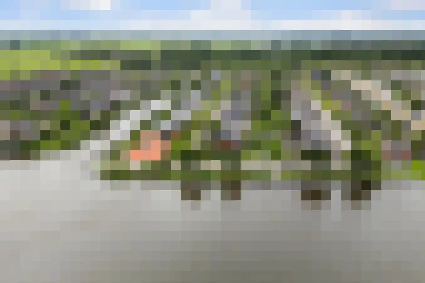 Moleplaat 38 Leeuwarden thumbnail 4