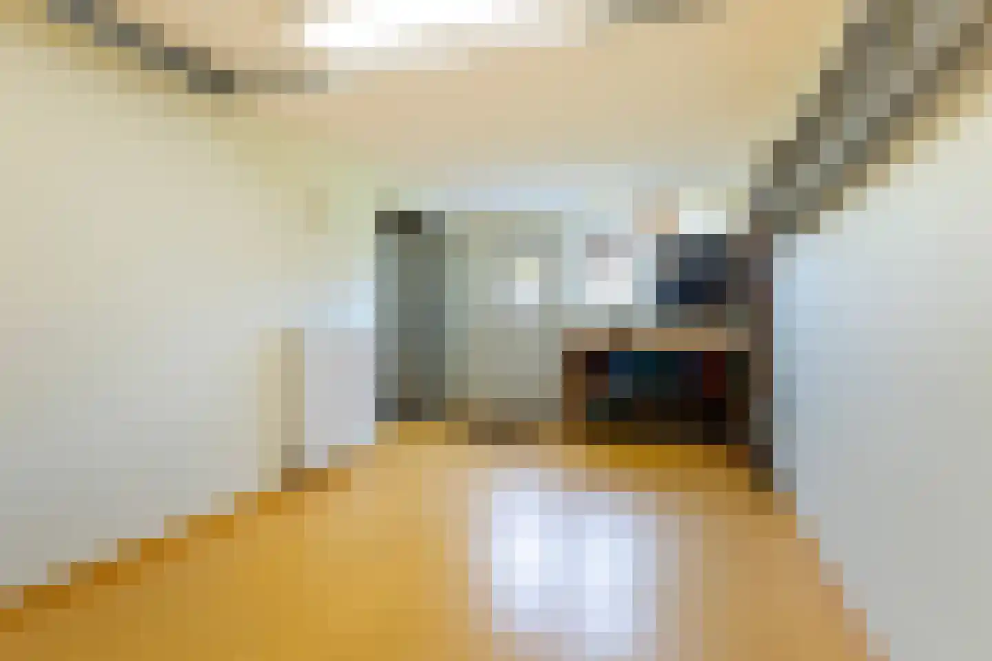 Moleplaat 38 Leeuwarden thumbnail 47
