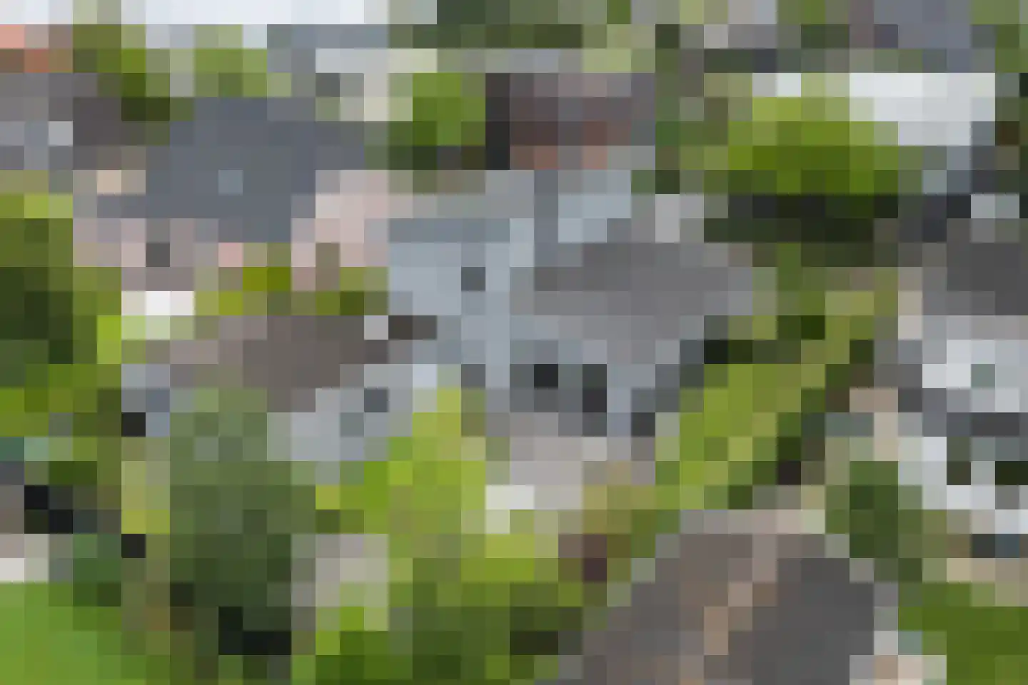 Moleplaat 38 Leeuwarden thumbnail 5