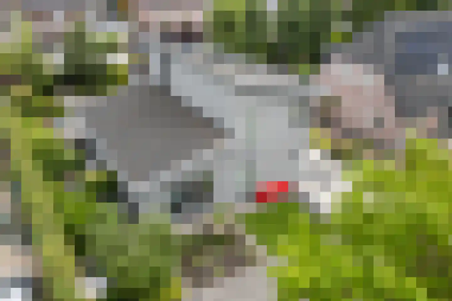 Moleplaat 38 Leeuwarden thumbnail 7