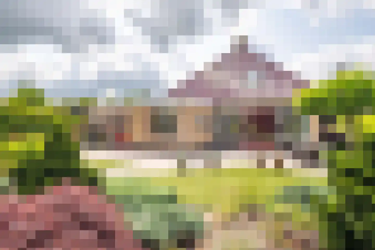 Moleplaat 48 Leeuwarden thumbnail 5