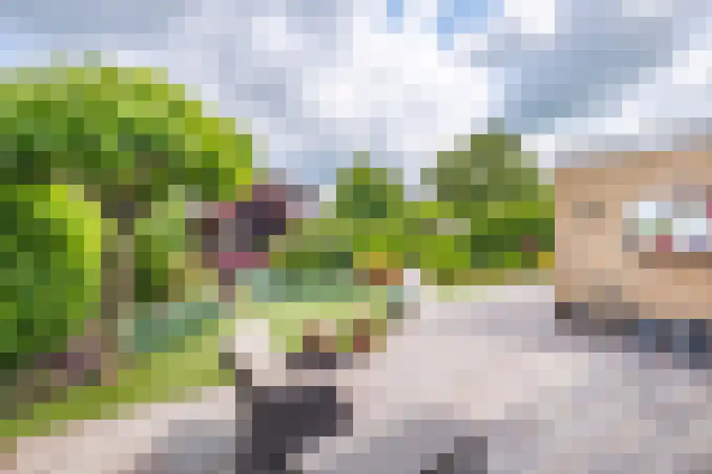 Moleplaat 48 Leeuwarden thumbnail 51