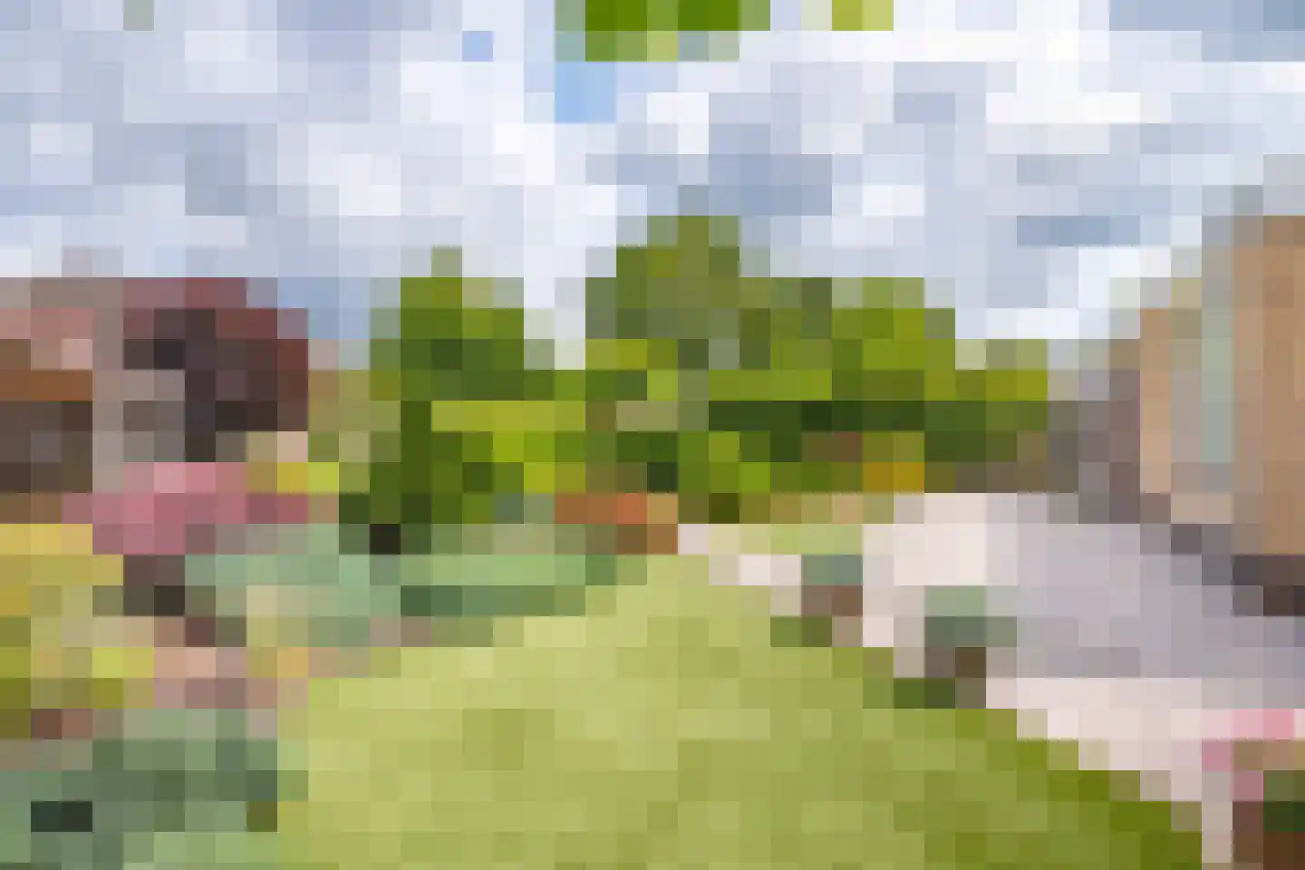 Moleplaat 48 Leeuwarden thumbnail 53