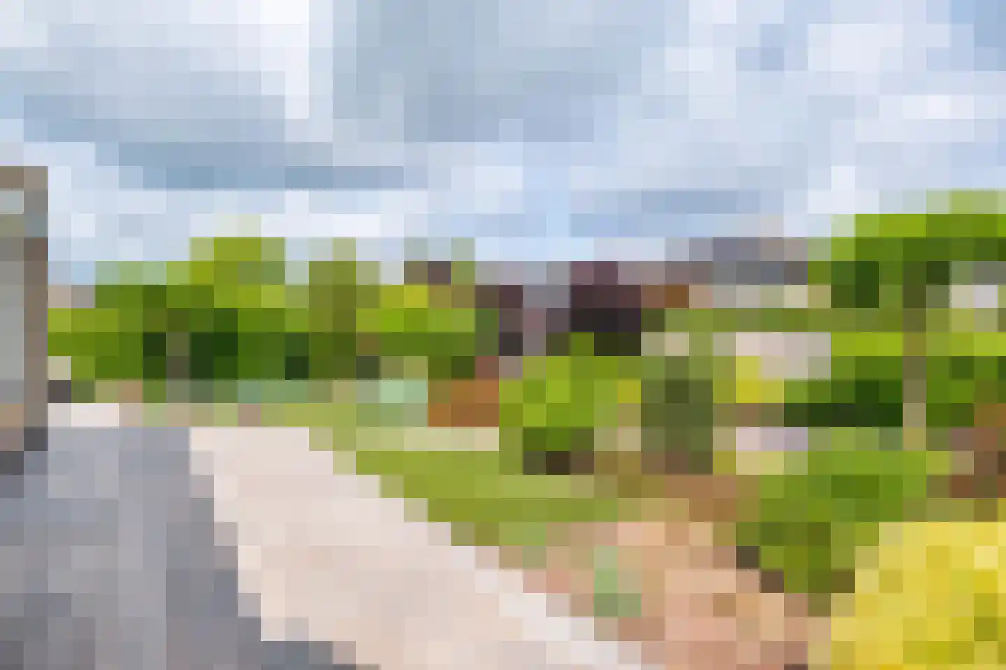 Moleplaat 48 Leeuwarden thumbnail 54