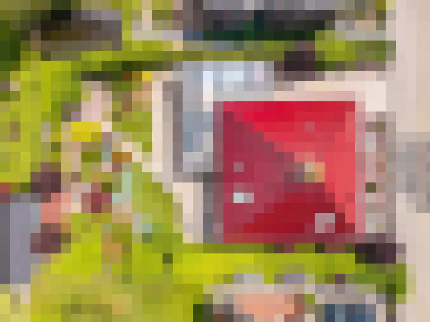 Moleplaat 48 Leeuwarden thumbnail 62