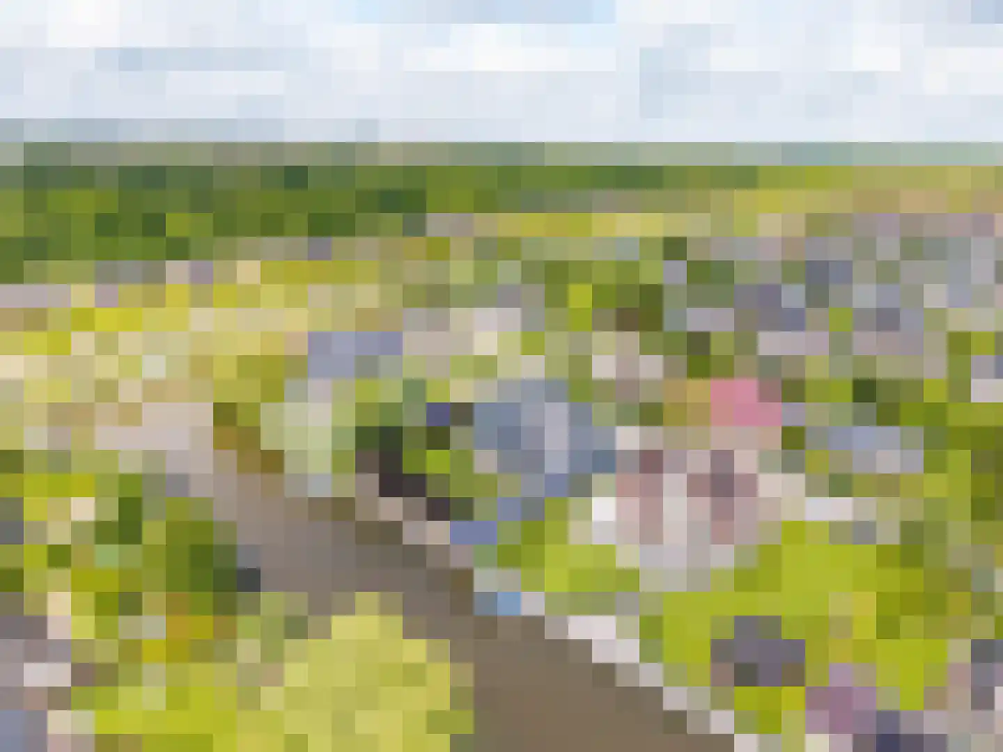 Moleplaat 48 Leeuwarden thumbnail 63