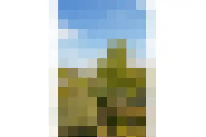 Moleplaat 49 Leeuwarden thumbnail 36