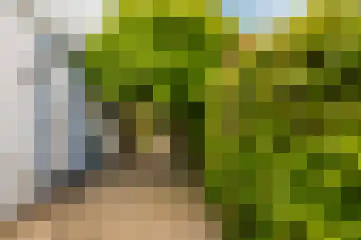Moleplaat 49 Leeuwarden thumbnail 38