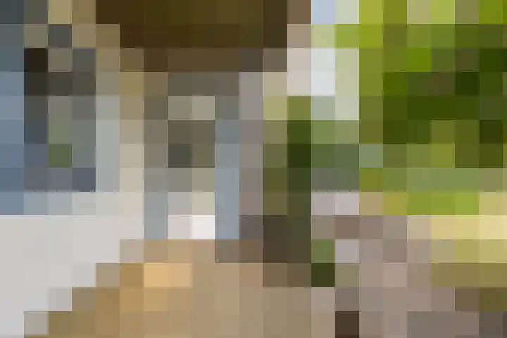Moleplaat 49 Leeuwarden thumbnail 41