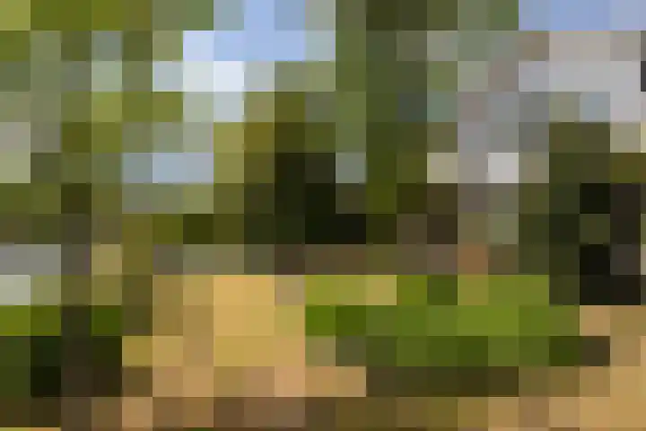 Moleplaat 49 Leeuwarden thumbnail 43