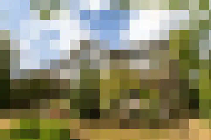 Moleplaat 49 Leeuwarden thumbnail 44