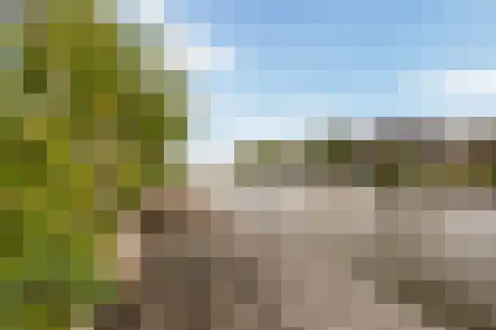 Moleplaat 49 Leeuwarden thumbnail 46