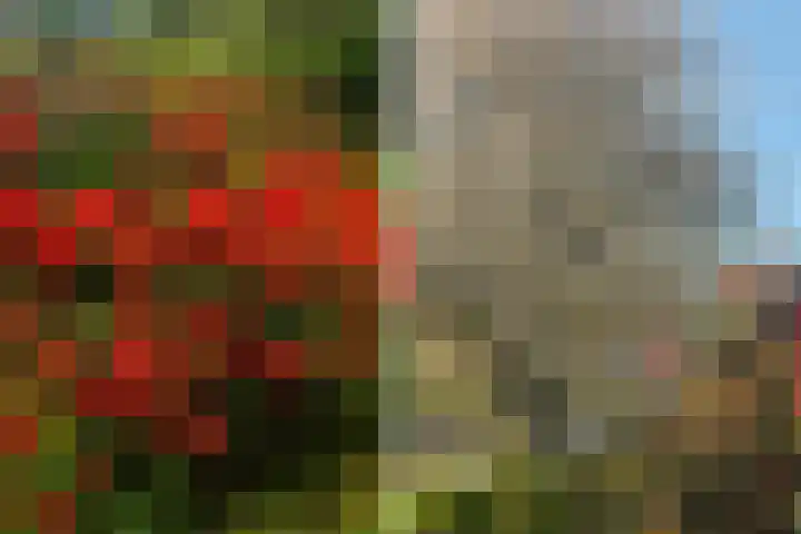 Moleplaat 49 Leeuwarden thumbnail 48
