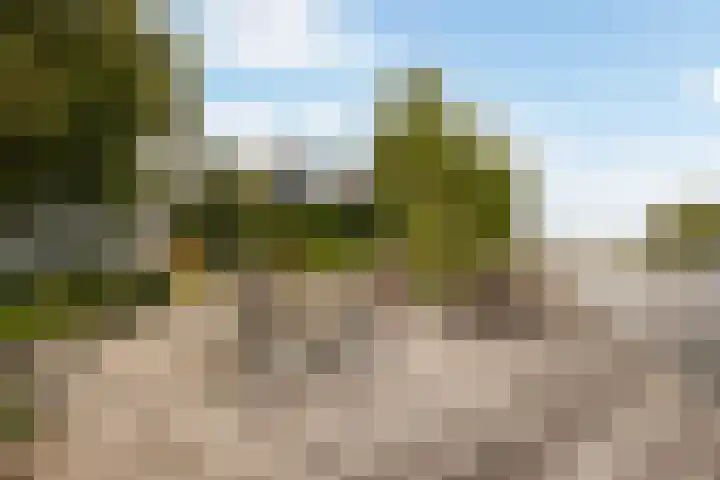 Moleplaat 49 Leeuwarden thumbnail 5