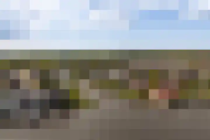 Moleplaat 49 Leeuwarden thumbnail 53