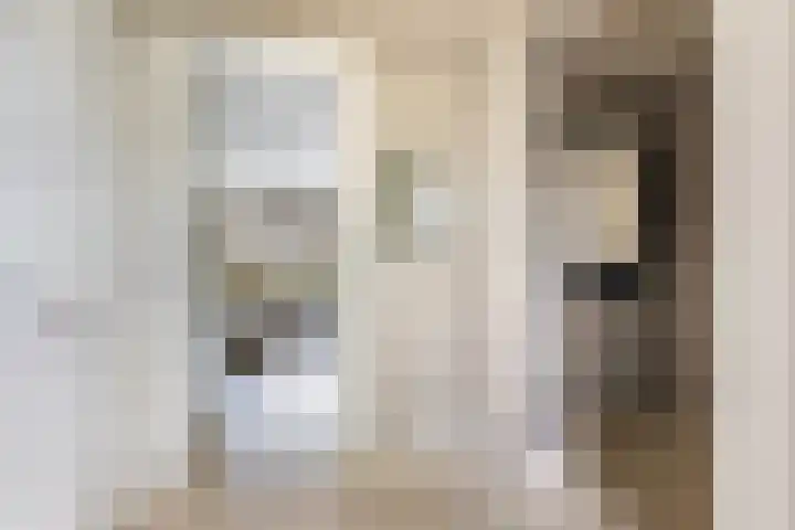 Moleplaat 49 Leeuwarden thumbnail 8