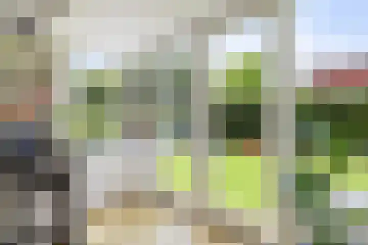 Moleplaat 7 Leeuwarden thumbnail 16