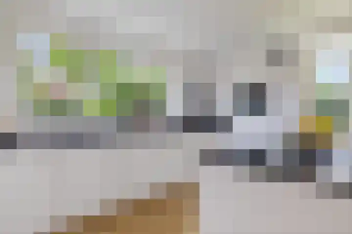 Moleplaat 7 Leeuwarden thumbnail 17