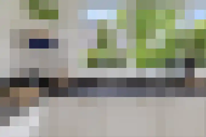 Moleplaat 7 Leeuwarden thumbnail 18