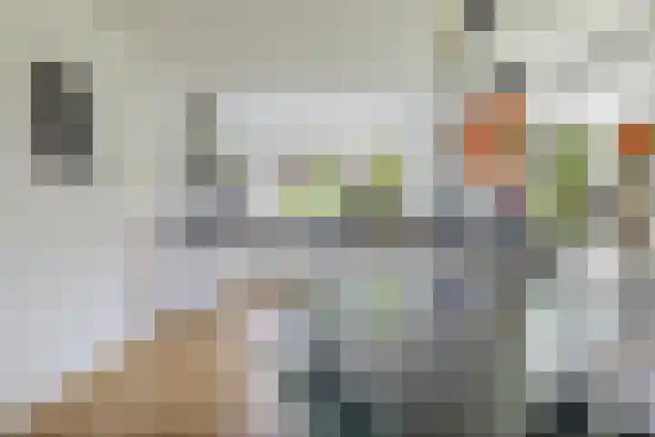 Moleplaat 7 Leeuwarden thumbnail 22